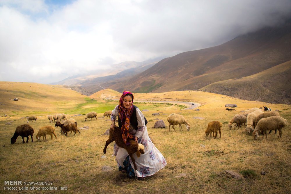 Authentic Mafrash, Shahsevan nomads