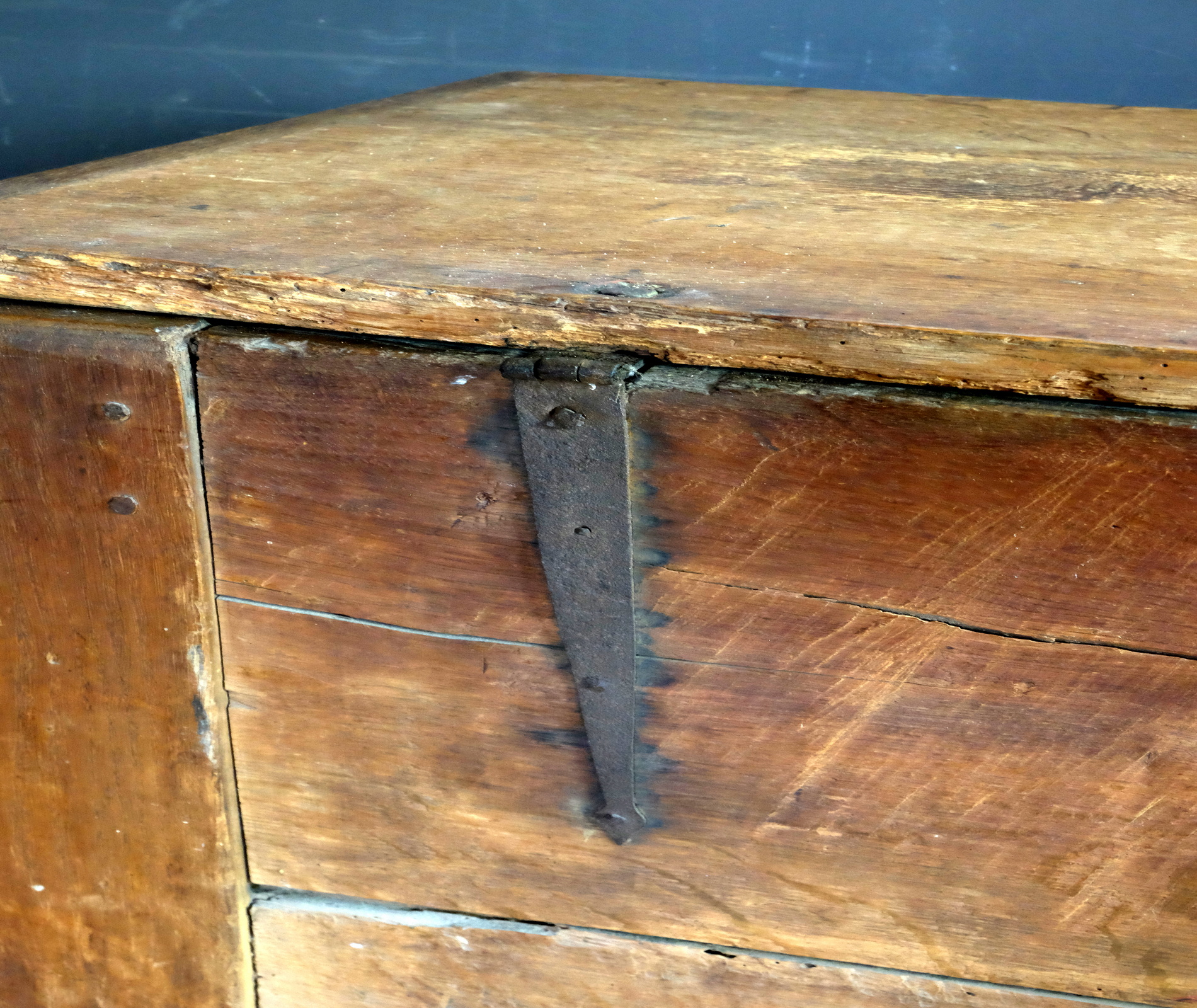 Trunk